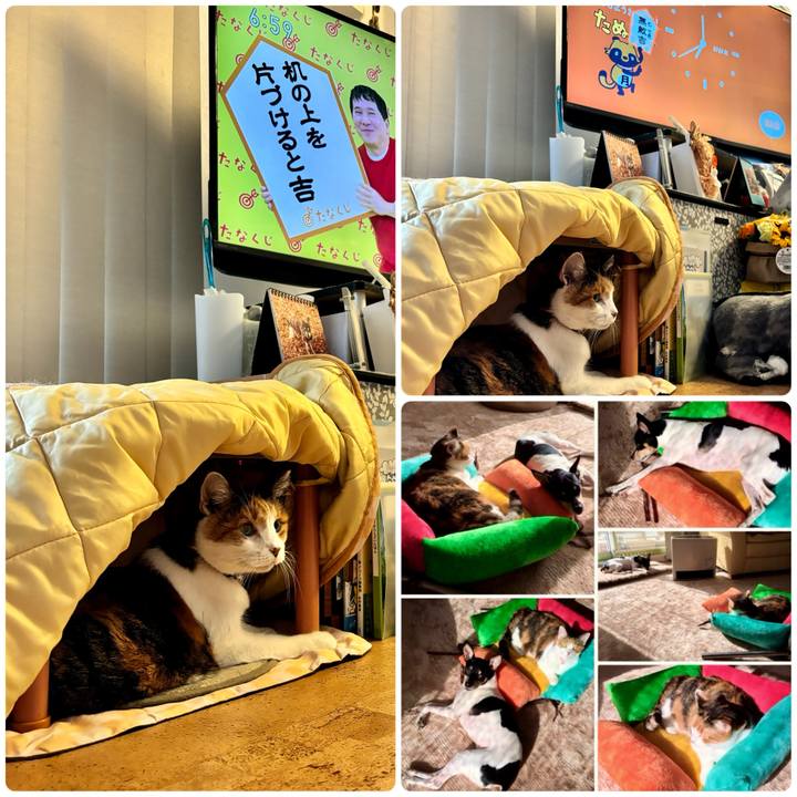 4d2935ca 56fd 4613 850f f081f9c9f025 1701037024974