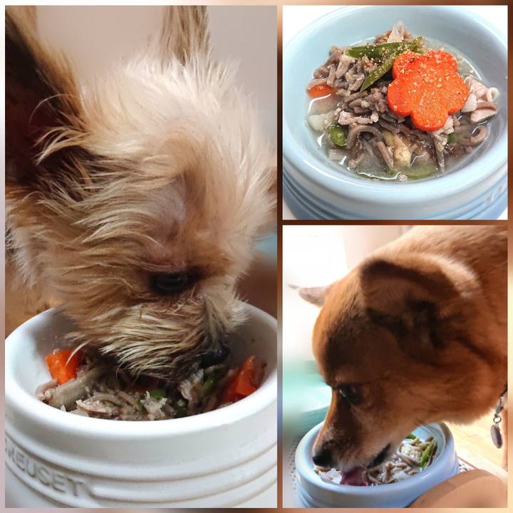 4d293d3f 9138 4150 9105 efdeb8496fed 1609411731644