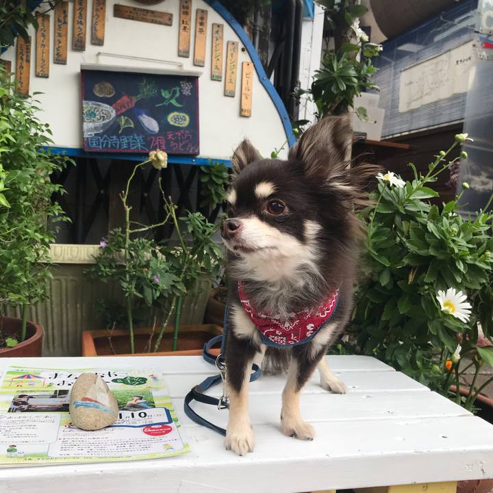 4d295ab6 de40 42d1 a451 c962317c7fde 1571904852062