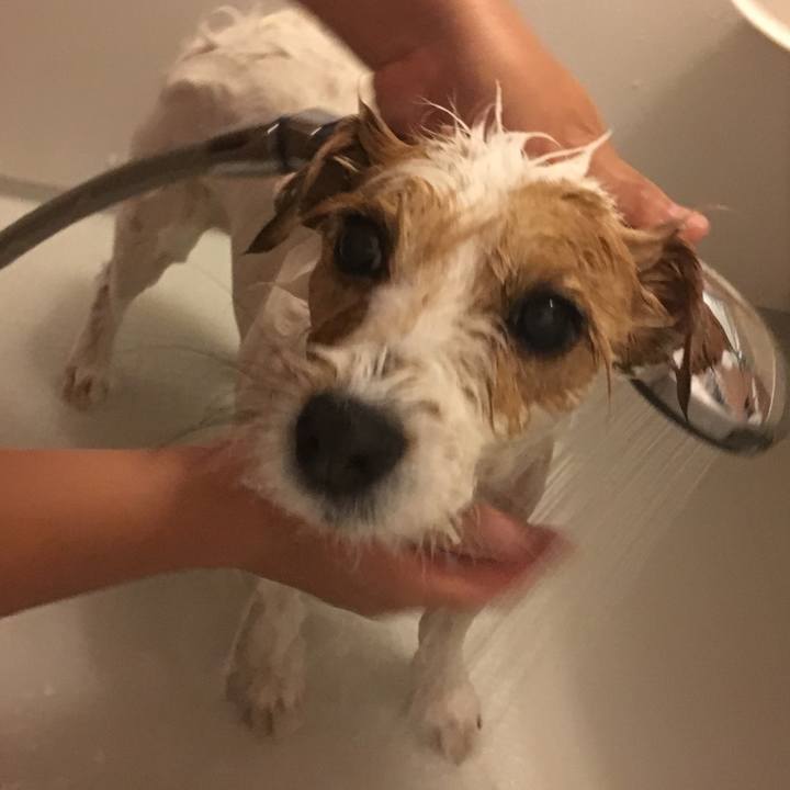 4d297bdd 7351 4c4b a3d4 7a7020b1cbf3 1529233291404