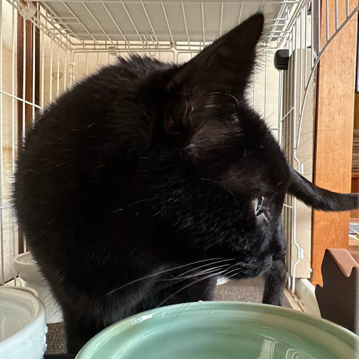 4d2984a0 ce6d 4e7b 95f4 d224e5b5b92d 1679364859507