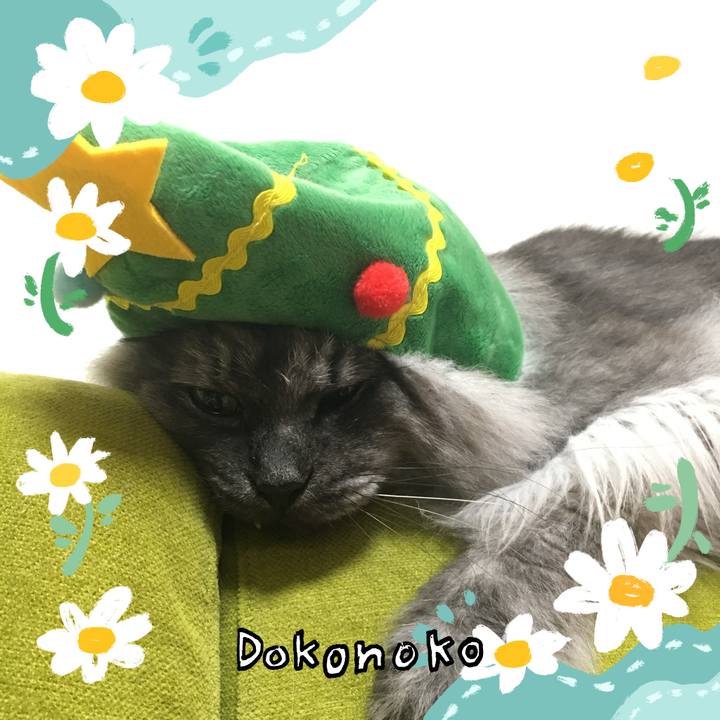 4d29ae70 ebec 44ae 98f0 be83c3c235fa 1712797557759