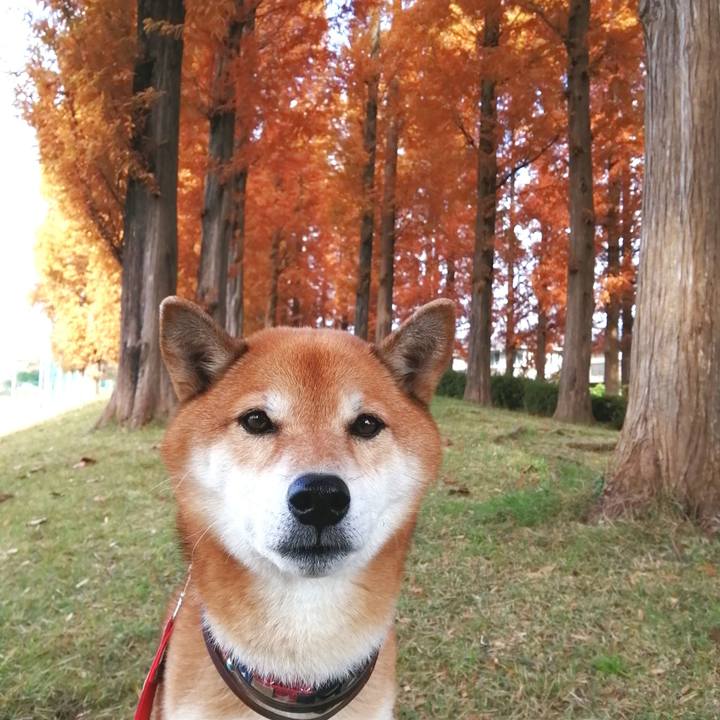 4d2a28ec f7b9 4018 abf5 e57e39ea998e 1668734670931