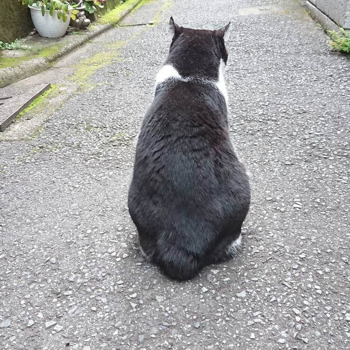 4d2a999c 5fa6 4795 a048 03996383f15a 1624607945884