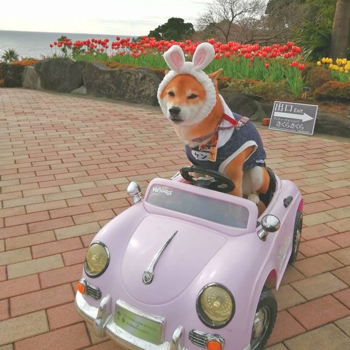 4d2ab247 c5ea 4923 a95a 6f094cca6cdf 1674041635506