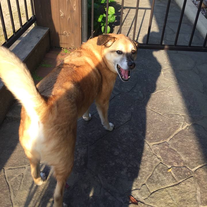 4d2b17ab b2a1 4b32 a548 07f7b7c4bd91 1557051390126