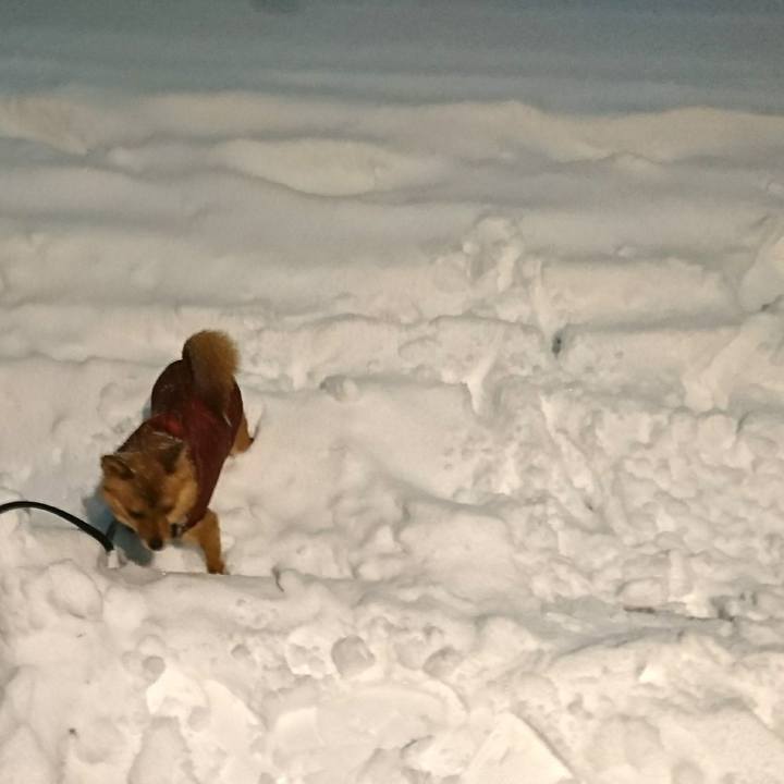 4d2b1879 faea 4c7d 836a d2e2b45b5fe0 1532349304644