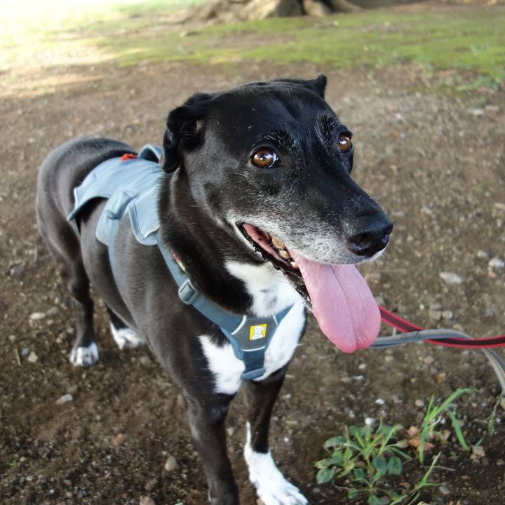 4d2b3d1b 8695 4082 9e53 8313d46de0f0 1725668442538