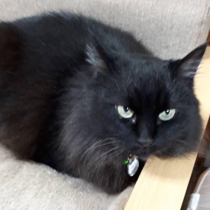 4d2b4f67 1ca3 472d be28 8a4319b1025d 1521798688360