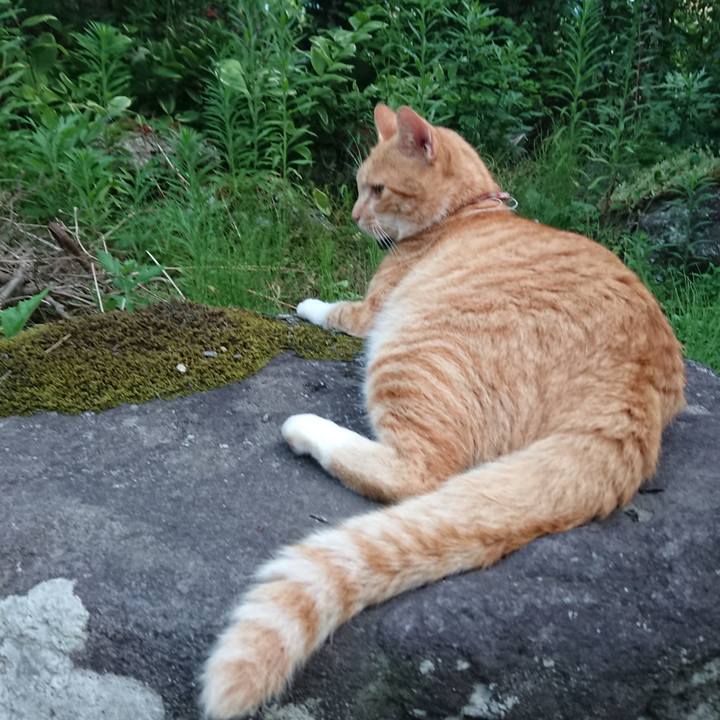 4d2b7189 ea84 4ed6 9957 eeebc65dcdae 1565515531060