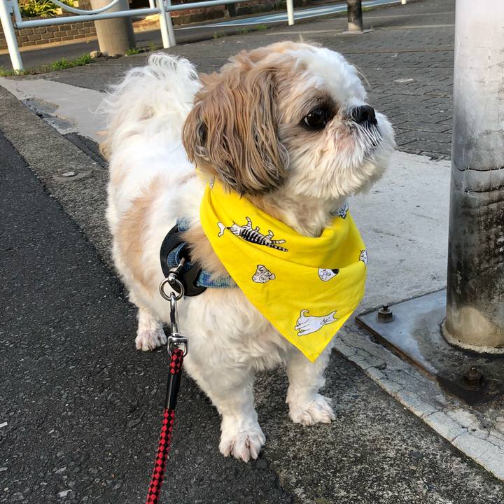 4d2b850b b3fa 4070 8e65 dab55cdeda7f 1530402296458