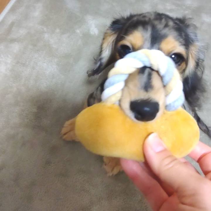 4d2b948e f86a 4aff bfad 6daa35b9f35a 1700572168451