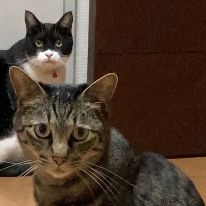 4d2ba4ca 4b19 4be7 b5c7 636854688817 1649076195606