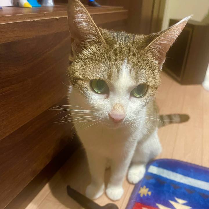 4d2bac06 b999 410b 9231 533a833f899a 1631702083927