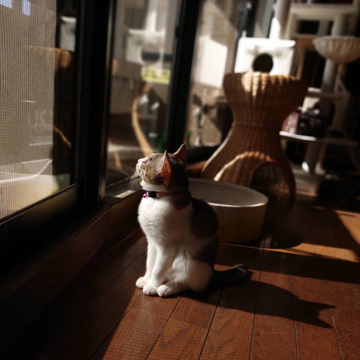 4d2bd457 65fc 4d56 b967 57ee658723f4 1549766890994