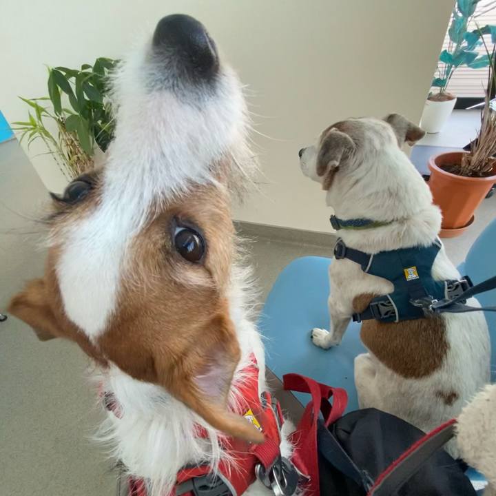 4d2bd92d eceb 4cc0 a121 bc80e1b6dfe9 1675493440649