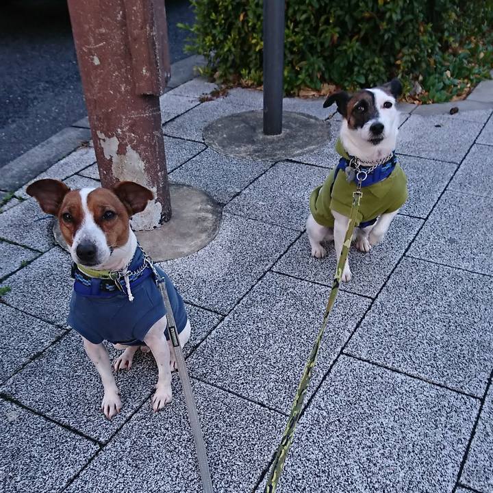 4d2bea30 fa6f 486c 9766 a0d6f28ff88f 1579125600088