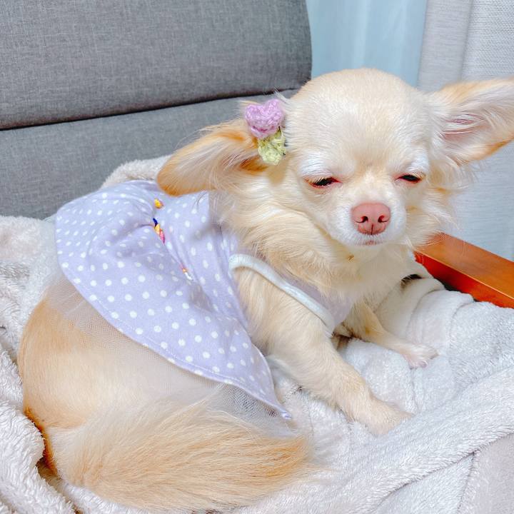 4d2beff9 2e27 4331 9f9b ecaa98b92364 1638443154076