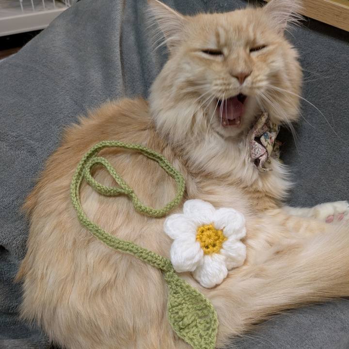 4d2c03d7 0cc9 4461 acaa 2818b68a647e 1768484301032