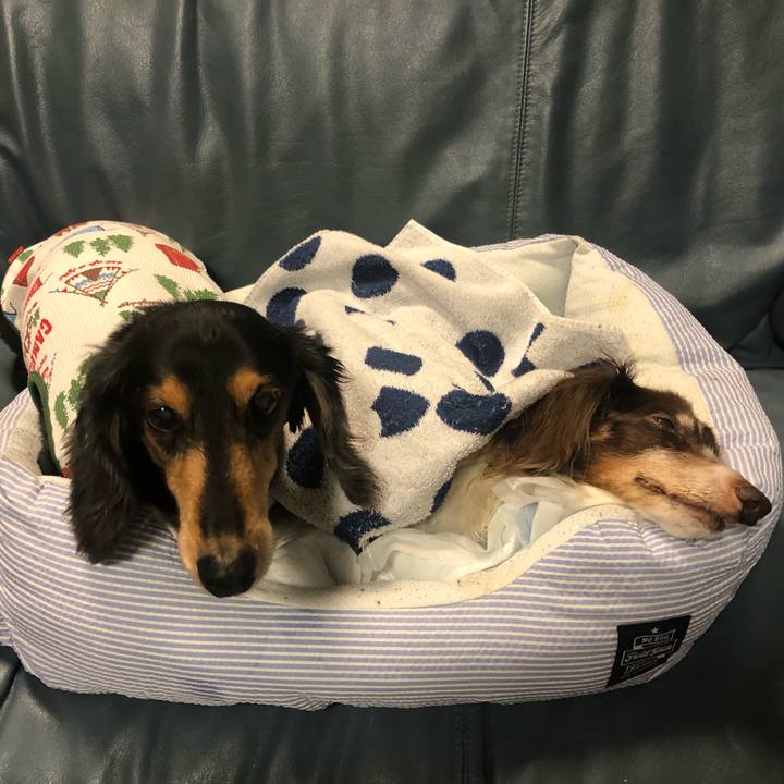 4d2c0f71 6cd6 4ae0 afb4 8641bbd36300 1628852863042