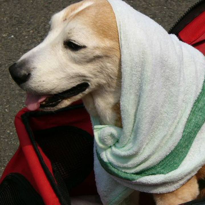 4d2c2bba 245c 410f a869 8ebaa05f7e6c 1683073867695