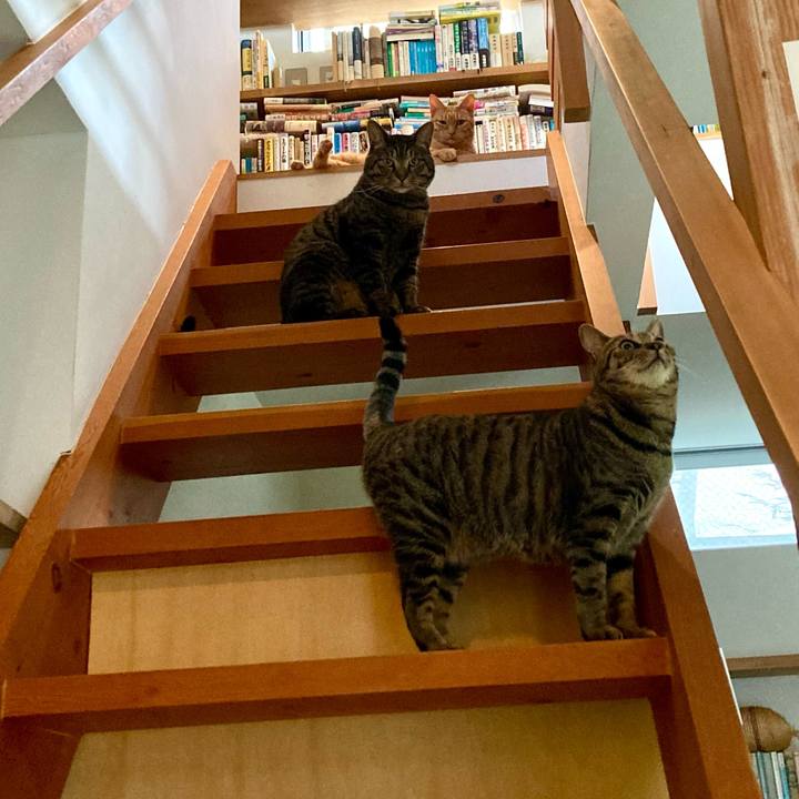 4d2c2ee3 be66 438e acfc 87598eb444c9 1687646849620