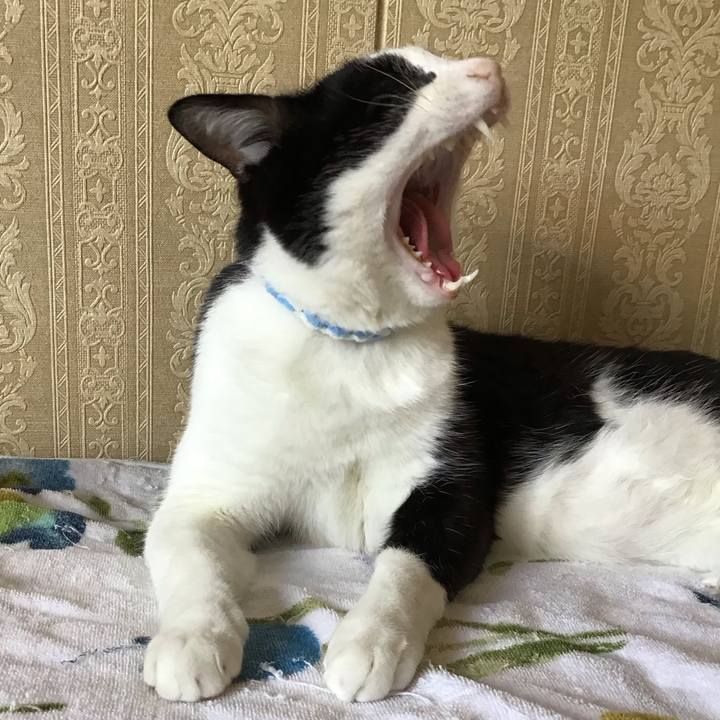 4d2c3314 880a 4796 afe5 6560f917e447 1686912851867