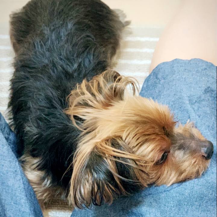 4d2cae20 6d2d 48a0 8718 7bc4a02cd841 1627684671127