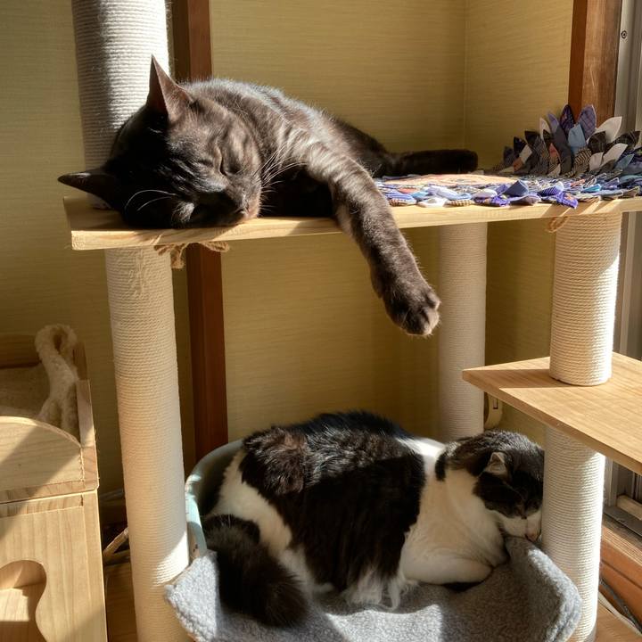 4d2cbf0e 4ca2 42d5 9fee b3071b142855 1705982408258