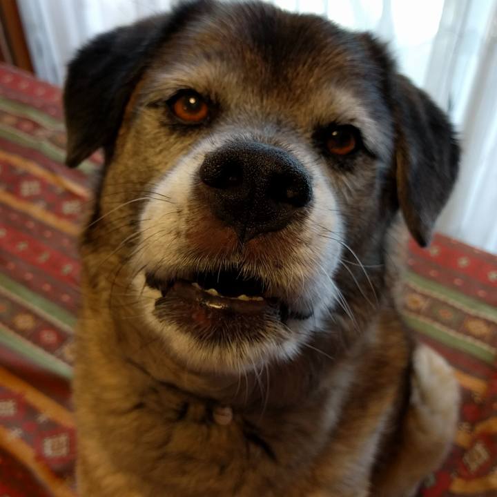 4d2cc81e 523c 44f6 adb8 e461525c34fb 1528093085943