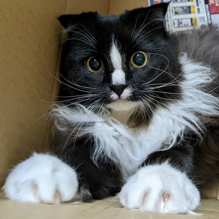 4d2cd1c8 6d69 4490 ac82 847fb4eafcae 1668132495938