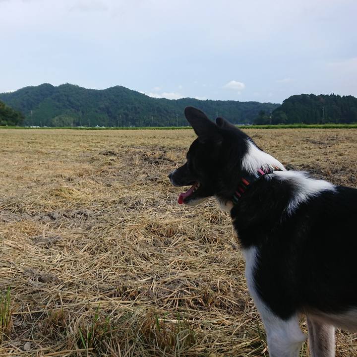 4d2cd9bb 48b6 428f 8015 e165358617e5 1599121523914