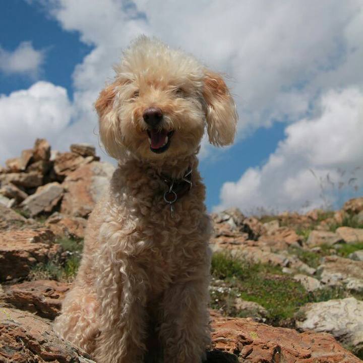 4d2d0760 e43b 4326 9b66 acddd8de1228 1573654334071