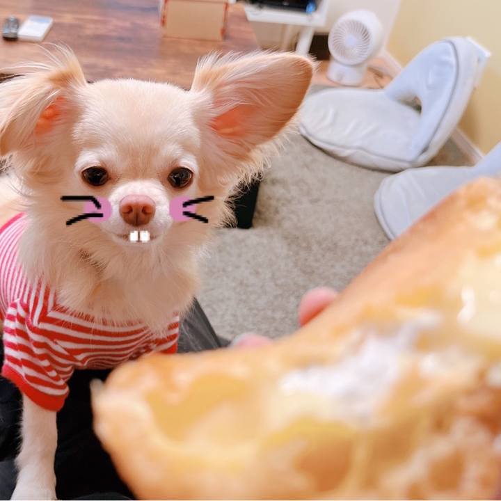 4d2d4945 25d4 4000 a717 5569af8b375f 1659162892628