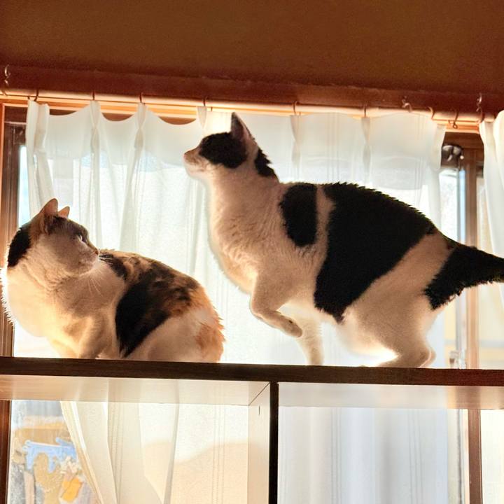 4d2d5fb0 8bb4 4bae 9898 2d20cc774901 1769734979267