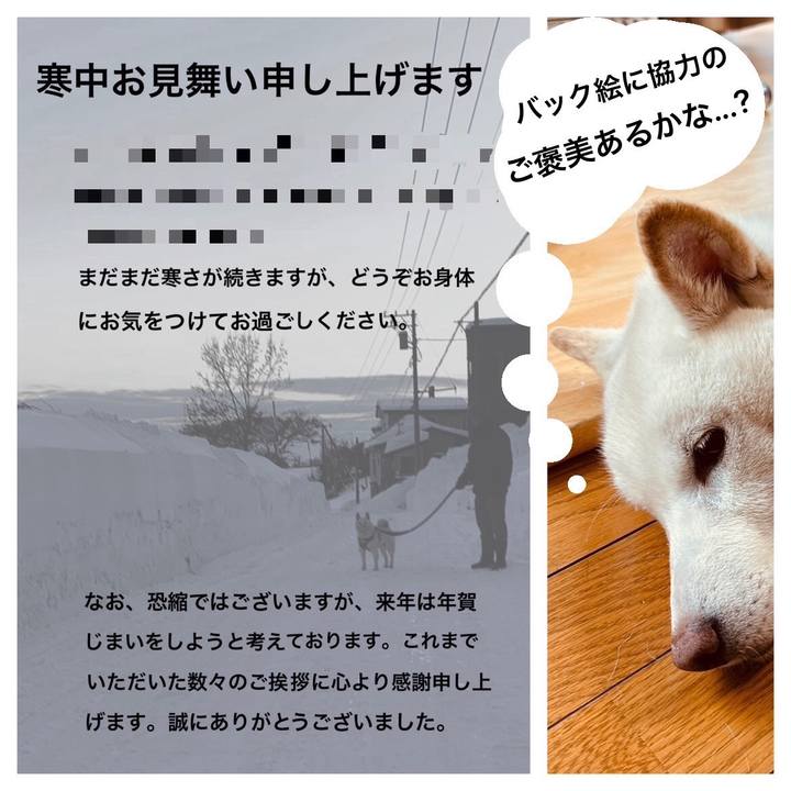 4d2d9bea d7ff 43b9 aadb 703d17a7958b 1735953978663