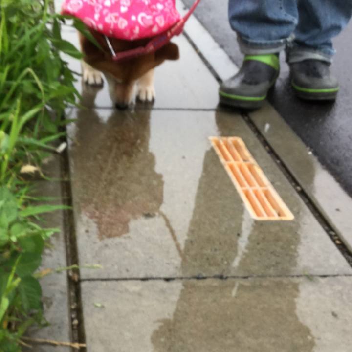 4d2dd13b e0f6 4aad ac6a 432c60df089e 1594020047571