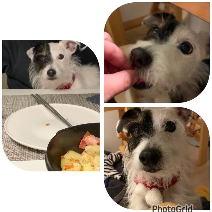 4d2dd527 2aee 4991 a27f 6c1e6904f713 1671879746469