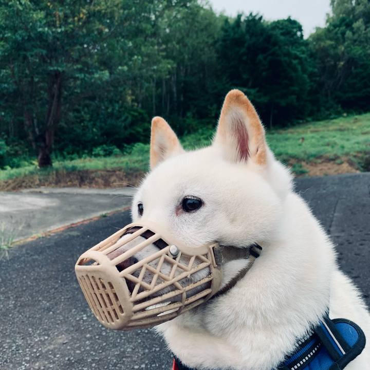 4d2e2734 02ec 41d4 9732 9eb562e1b080 1628973501075