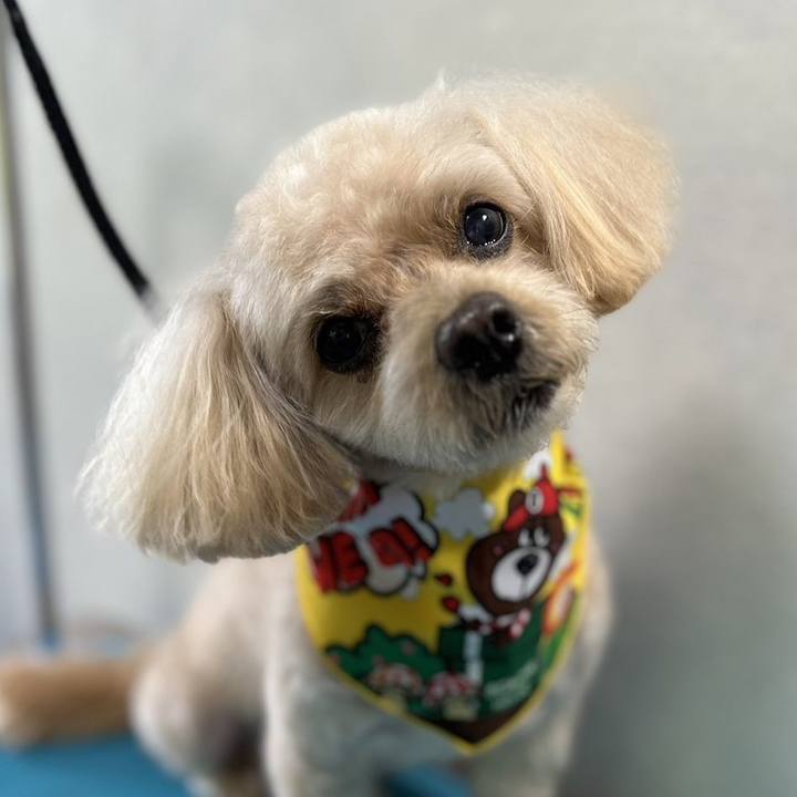 4d2e4ea3 2e85 49d0 984d fc6e42955f08 1725342146885