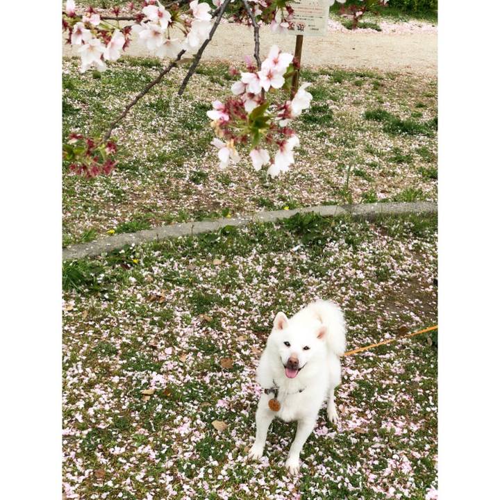 4d2e672e b873 4d14 8e23 44ae5aef9b5f 1617867412773