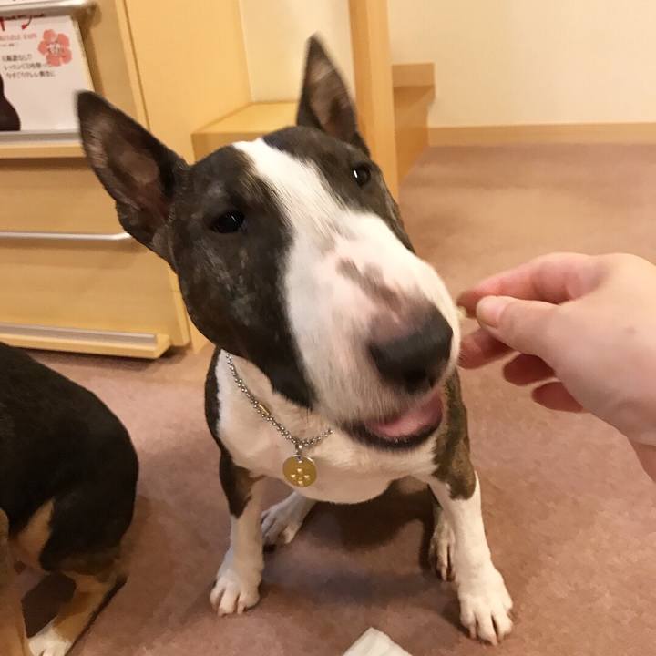 4d2e96bf 66ec 4299 b89d fd9fa85ff089 1512126707648