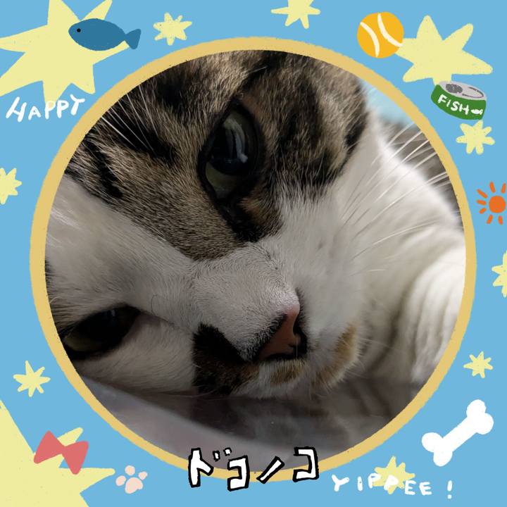 4d2e997c 9dc5 4f0d 8552 b09271bddc08 1720824644613