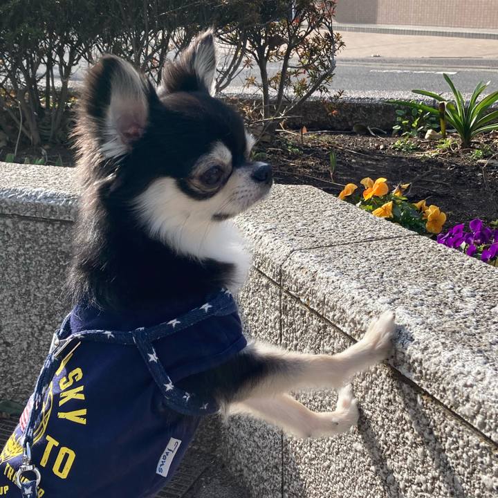 4d2e9c8f e5d5 427e 8fb8 cc5e0a316f85 1646489534671