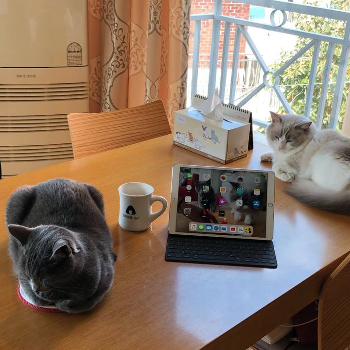 4d2ea72a 69ce 46a4 a69c 8838e5ff6ec2 1571372197428