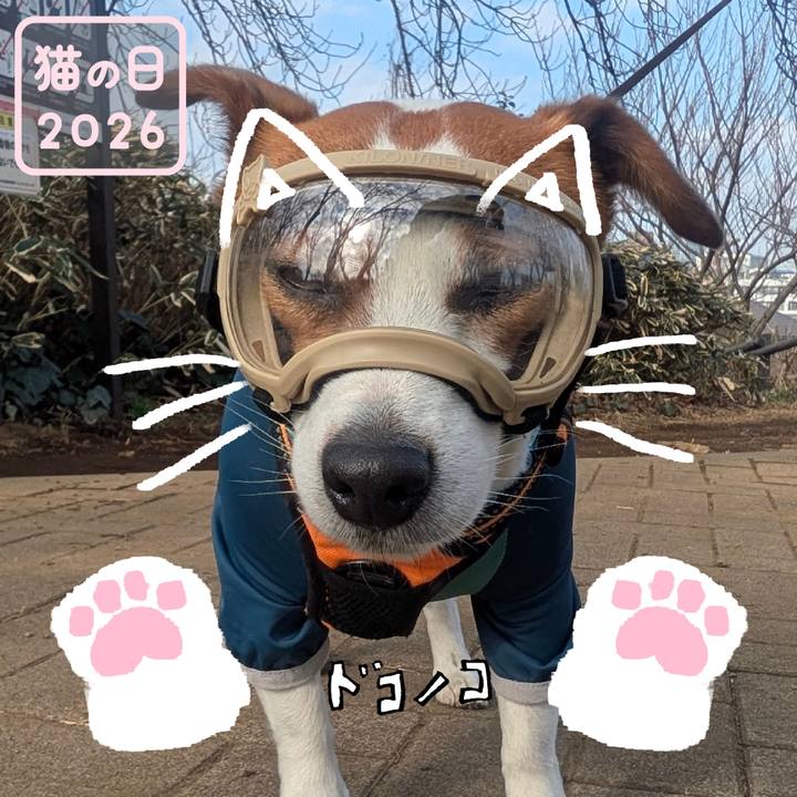 4d2eb869 b31e 4bd6 9537 51ad44e34b0d 1771762771449