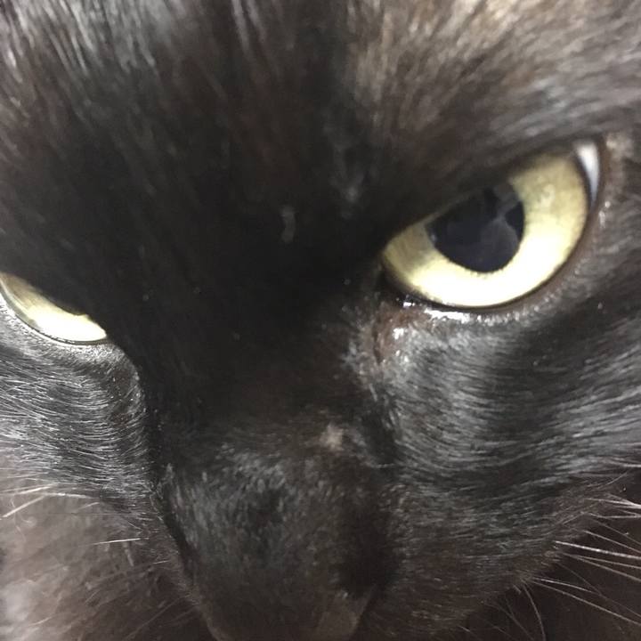 4d2ef85a 61f0 433e b829 82e5c0fa059b 1518528931993