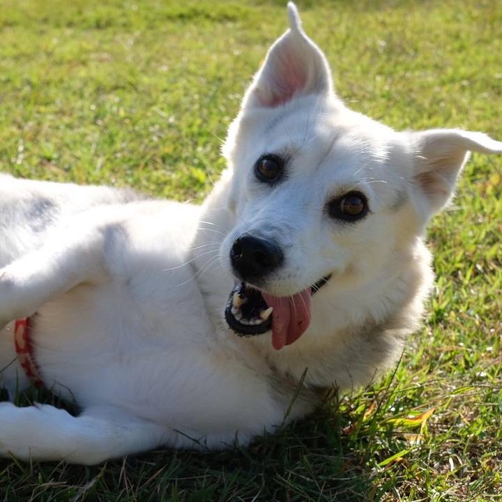 4d2f0571 0cf1 42c9 b9e1 b02daf8724a6 1634008373882