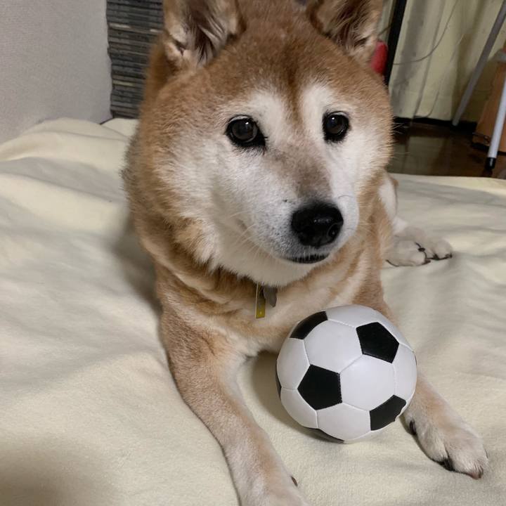 4d2f10ec bc9c 4c82 92eb 21dabb47aa60 1566045919094