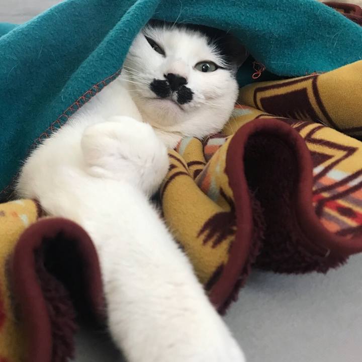 4d2f2851 6658 43d2 9313 acb4f245c35a 1519788421420